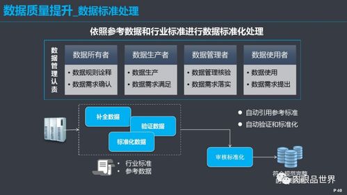 构建高效数据治理体系 从框架到落地的全面解决方案